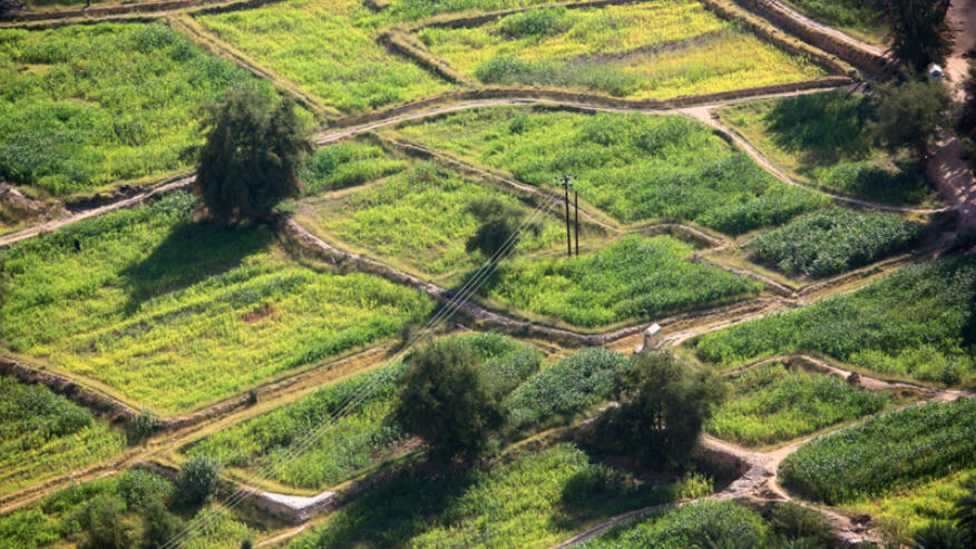 Le monde agricole s’inquiète des méga-fusions dans l’agrochimie