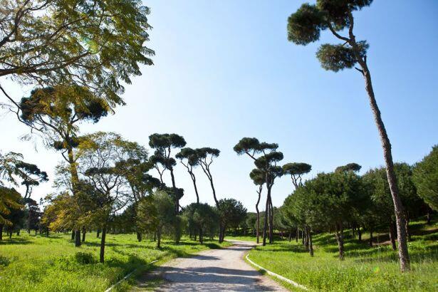 Chbib déclare le parc de Beyrouth ouvert au public