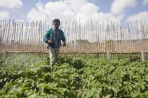 Brazilian Indigenous Movement Receives Prominent UN Environmental Prize at COP 21 in Paris