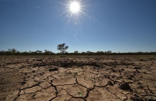 Heat saps Australian workers’ productivity: study