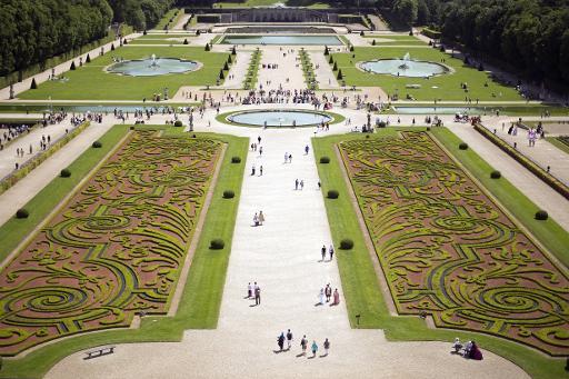 Le buis des « jardins à la française » en danger