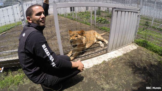 México prohíbe los animales en el circo: