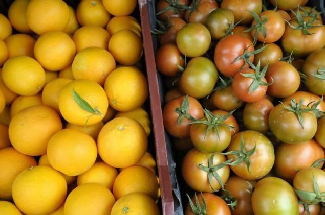 Les agriculteurs bio à l’assaut de Beyrouth