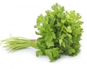 Parsley, a natural cure in a beautiful plant