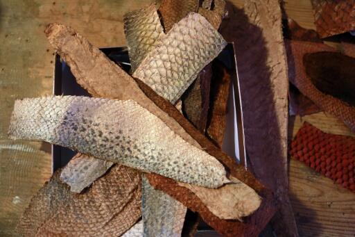 « Du pêcheur au sac à main » : la tradition du cuir de poisson de nouveau en France