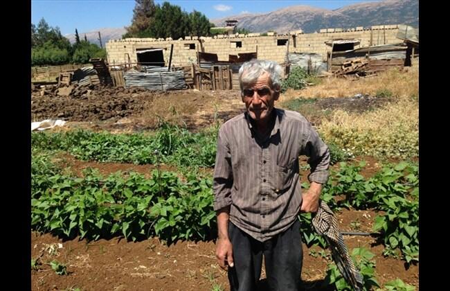 Bekaa farmers begin to see fruits of aid program