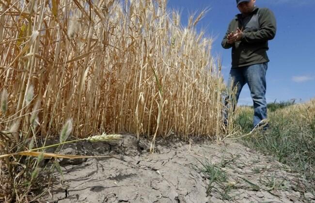 California cities show biggest water savings yet in drought