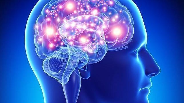 La deficiencia de vitamina E puede dañar el cerebro