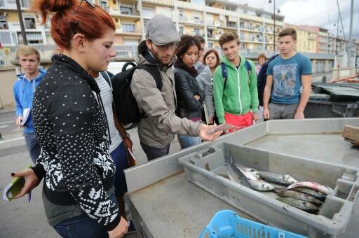 A Sète, une formation supérieure pour les pêcheurs de demain, « sentinelles de la mer »