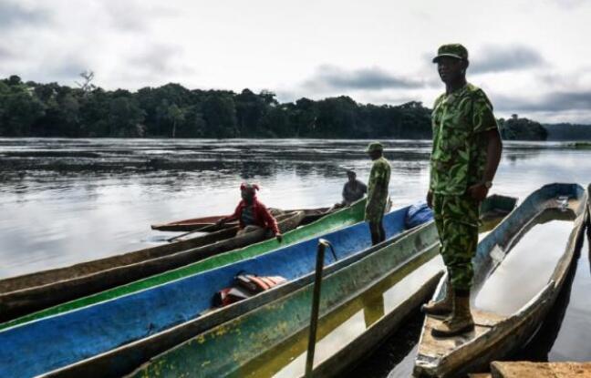 Au Gabon, la guerre inégale des éco-gardes contre les braconniers d’ivoire