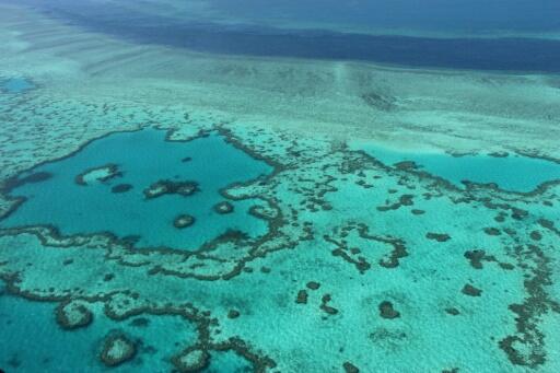 Australie: les coraux également menacés par les particules de charbon
