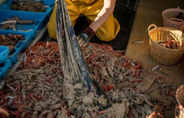 Le plastique pêché en Méditerranée bientôt recyclé en vêtements