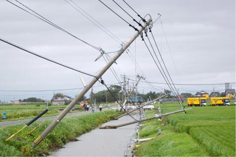 Les énergies renouvelables sont disponibles en abondance dans la région arabe- Dr Akram Al Khoury