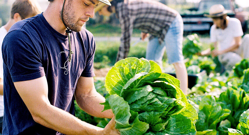 Ventajas de comer alimentos locales ecológicos