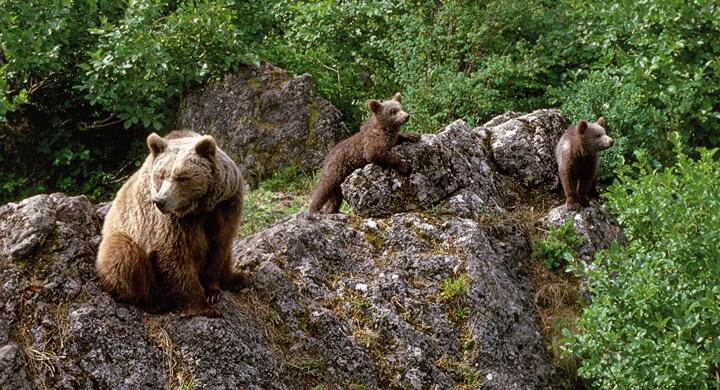 España, el segundo país del mundo con más reservas de la biosfera