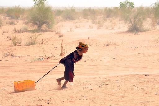 Au Sénégal, des agriculteurs s’adaptent face au changement climatique