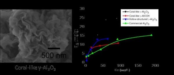 Coral Reefs and Synthetics: New Material, Clean Possibilities?