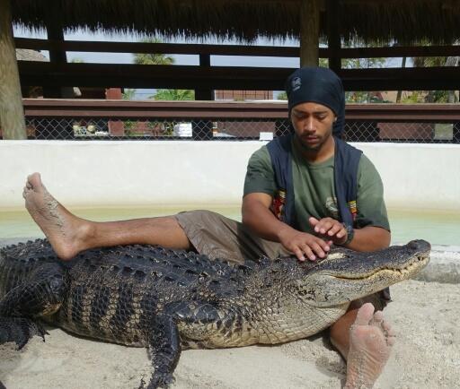 Floride: mordu par un alligator, l’un des derniers dresseurs prend sa retraite