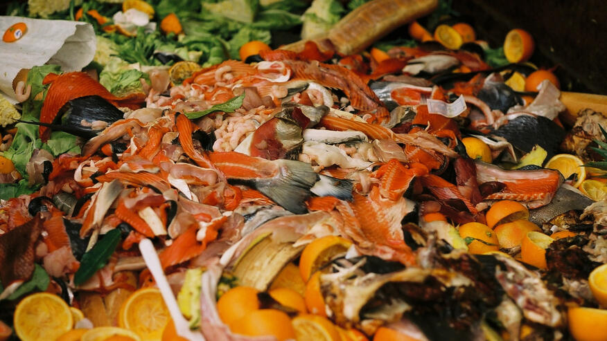 Está prohibido tirar la comida a la basura