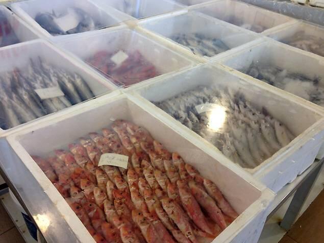 Le souk aux poissons a fait peau neuve… dans un contexte qui reste pollué