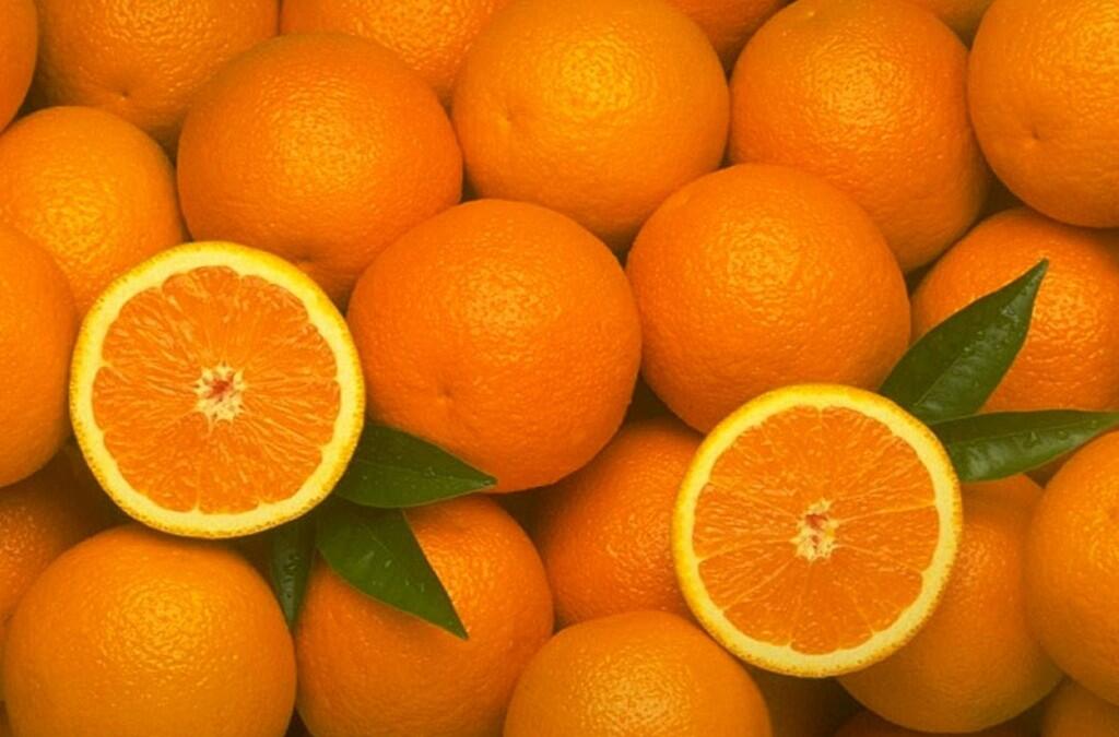 La cadena sustentable y de cuidado agrícola para la producción de la mejor naranja