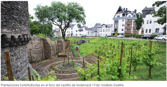 Andernach la ciudad comestible, donde los baldíos producen alimentos