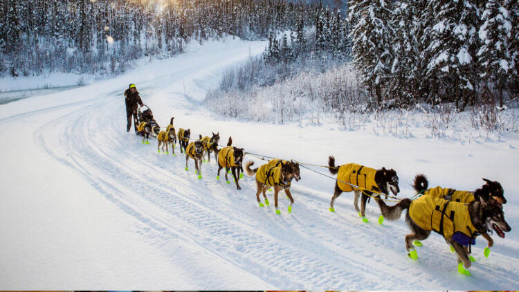 Capturing the Yukon Quest in -50°, Sourtoe Cocktail in Hand