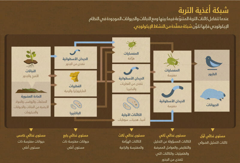 التربة والتنوُّع البيولوجي