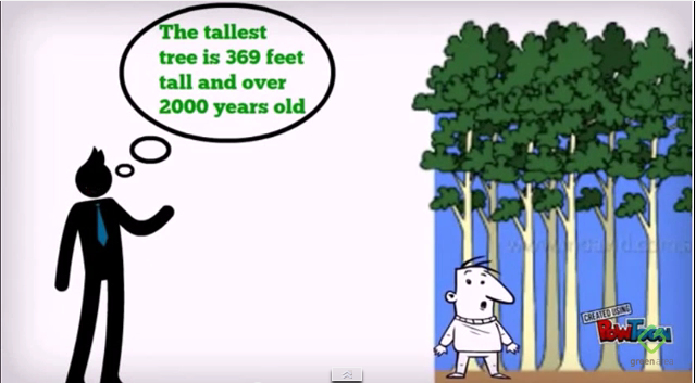 Fun facts about trees