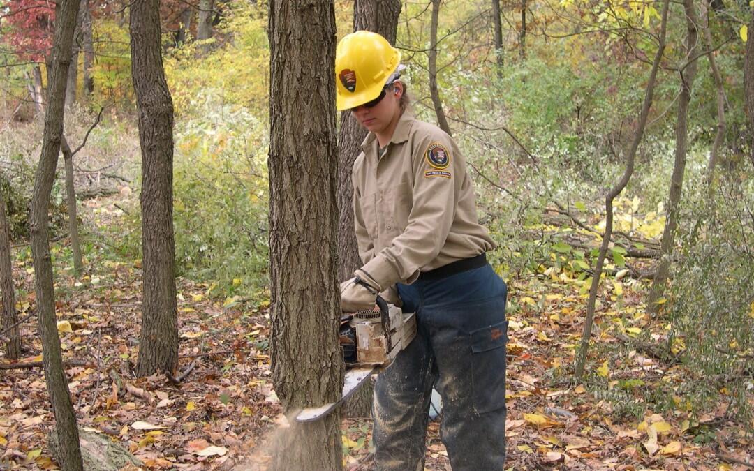 Se prenden las alarmas por deforestación y erosión