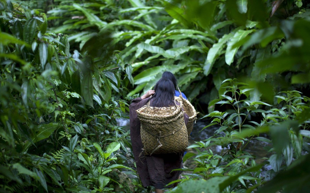 Women of El Salvador win one of U.N. Climate Solutions prestigious Awards