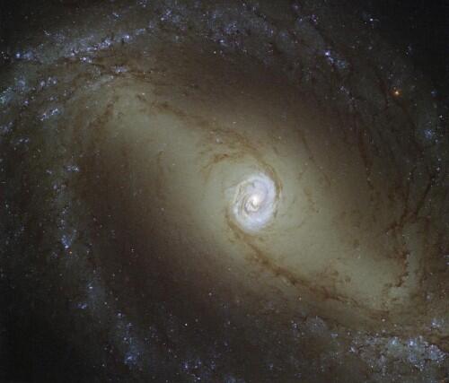 A spiral galaxy known as NGC 1433. At about 32 million light-years from Earth, it is a type of very active galaxy known as a Seyfert galaxy, a classification that accounts for 10 percent of all galaxies. REUTERS/ESA/Hubble/NASA