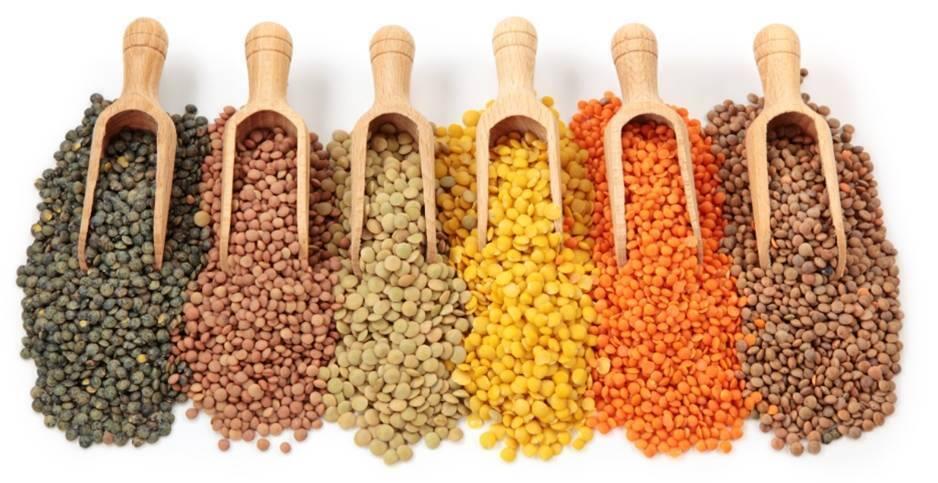 Pulses, good for health and the environment