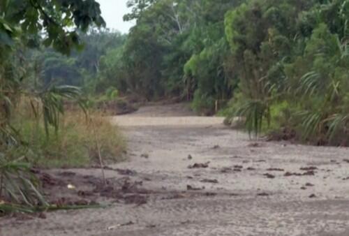 A path leading to the settlement of the Mascho Piro tribe (Channel 4/Screenshot)