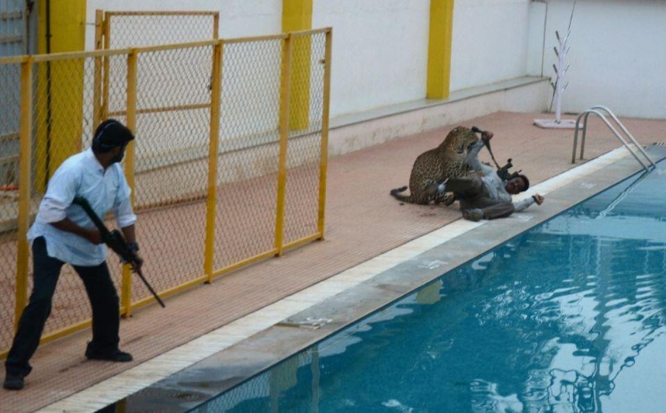 Un léopard blesse cinq personnes dans une école en Inde