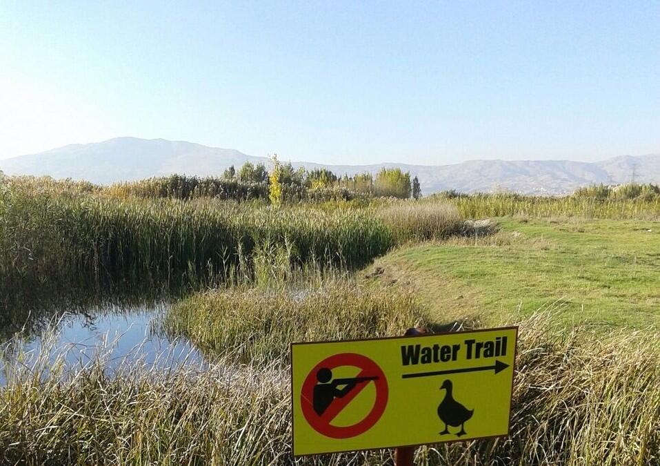 Billion people living off wetlands