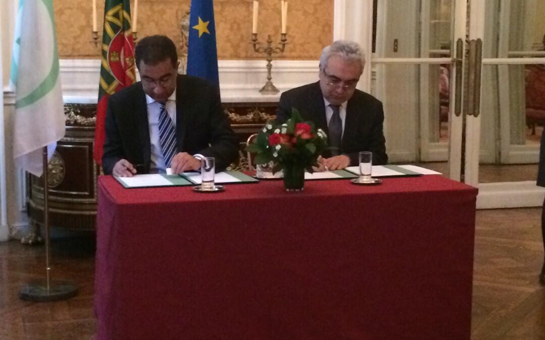 UfM and IEA join forces to strengthen climate action in the Euro-Mediterranean region