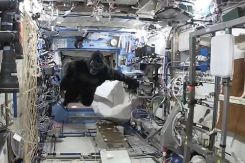 NASA-Astronaut-Scott-Kelly-Goes-Astro-Ape-in-Benny-Hill-Inspired-VIDEO