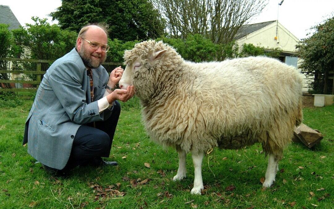 20 ans après Dolly, mange-t-on un peu de viande clonée?