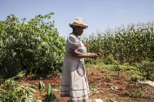 Biotecnologías agrícolas: dar voz a las necesidades e inquietudes de los campesinos familiare