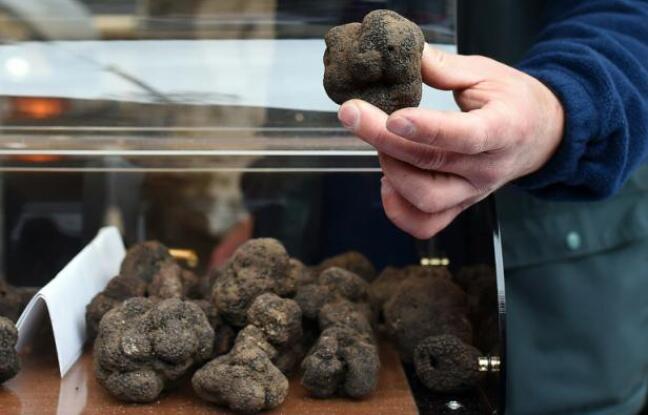 Pas assez de truffes: le marché du Tricastin ferme avec 15 jours d’avance