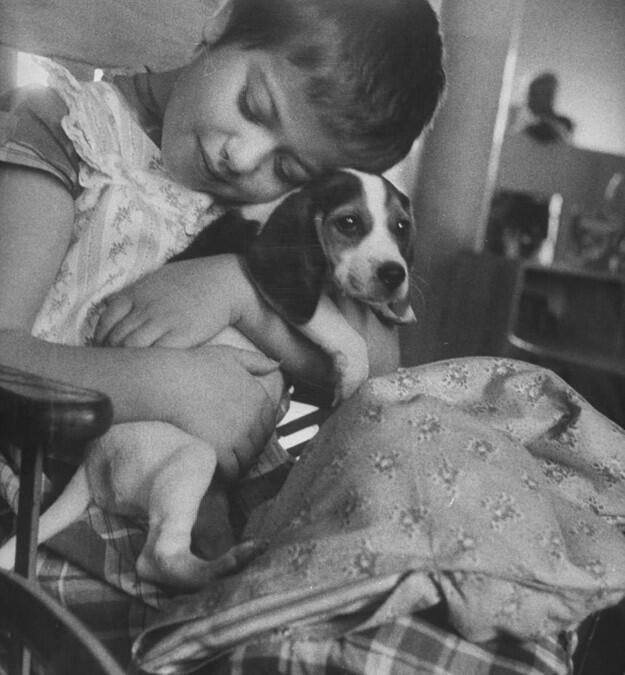 In 1956… This Hospital Gave Children Therapy Animals