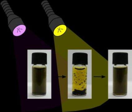 Capturing ‘black gold’ with light