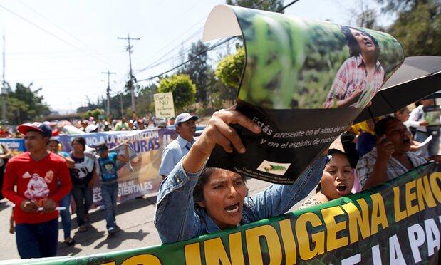 UN envoy warns of environmental activist murder ‘epidemic’