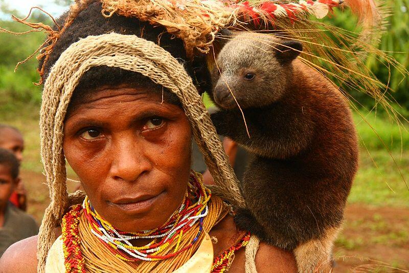 Papúa Nueva Guinea presenta el primer plan climático bajo el Acuerdo de París