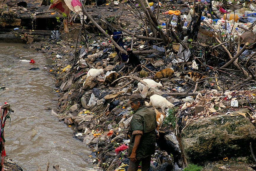 L’insalubrité de l’environnement provoque 12,6 millions de décès par an, selon l’OMS