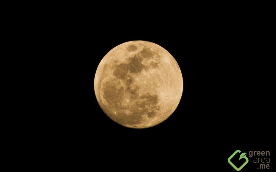 La lune du Sud, amoureuse des prairies libanaises