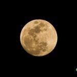 Moon 032016_2653 OK1 copy