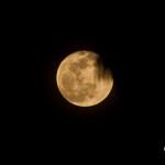 Moon 032016_2698 copy