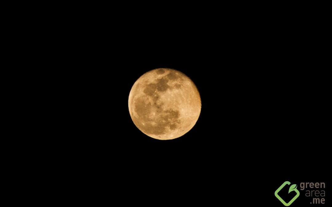 No cancele las brisas frías de marzo por la noche, los sureños de los sureños que  les encanta disfrutar de la vista de la primera luna llena de primavera,